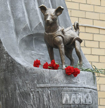 Pomnik Łajki odsłonięty w 2008 r. w Moskwie