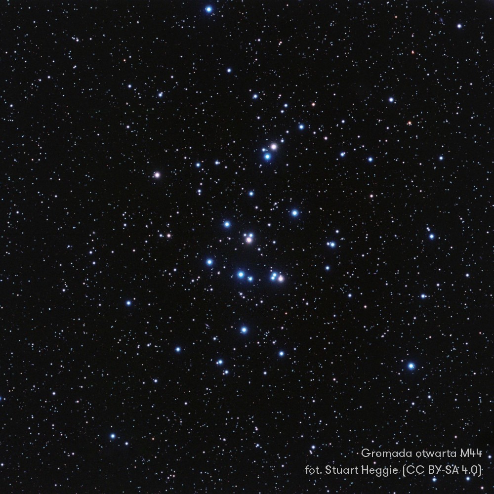 Gromada otwarta M44 - zbiór gwiazd nazywanych też Żłóbkiem, wielokolorowe punkty na tle głębi Kosmosu