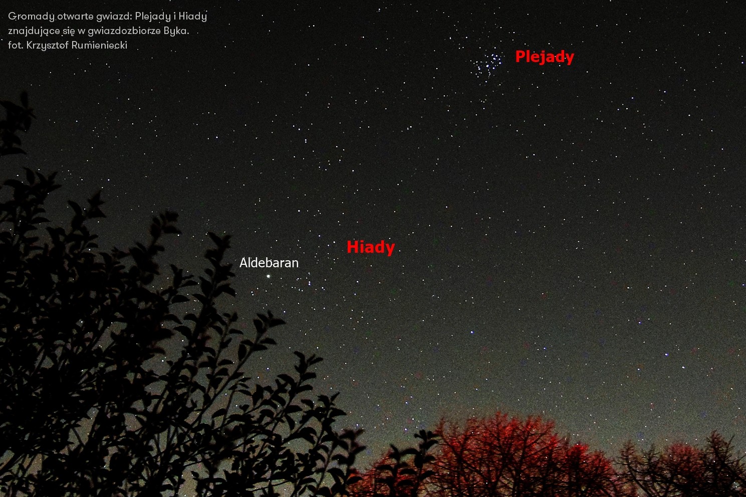 Gromady otwarte gwiazd: Plejady i Hiady znajdujące się w gwiazdozbiorze Byka.