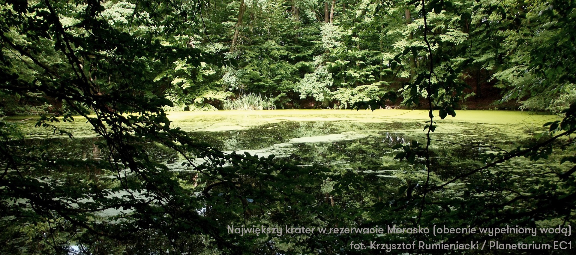 Największy krater w rezerwacie Morasko, obecnie wypełniony wodą.