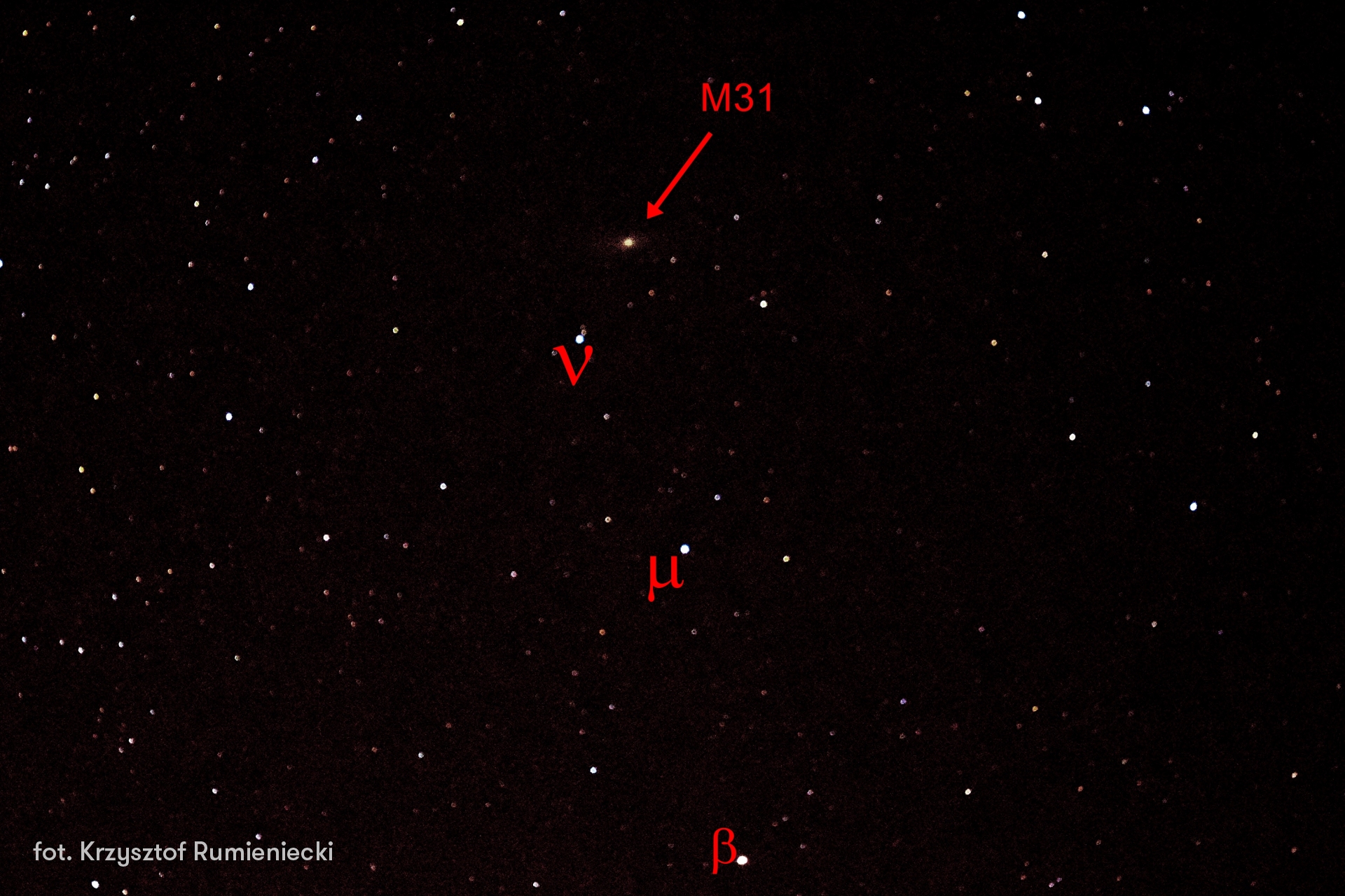 Galaktyka M31 okiem amatorskiego aparatu