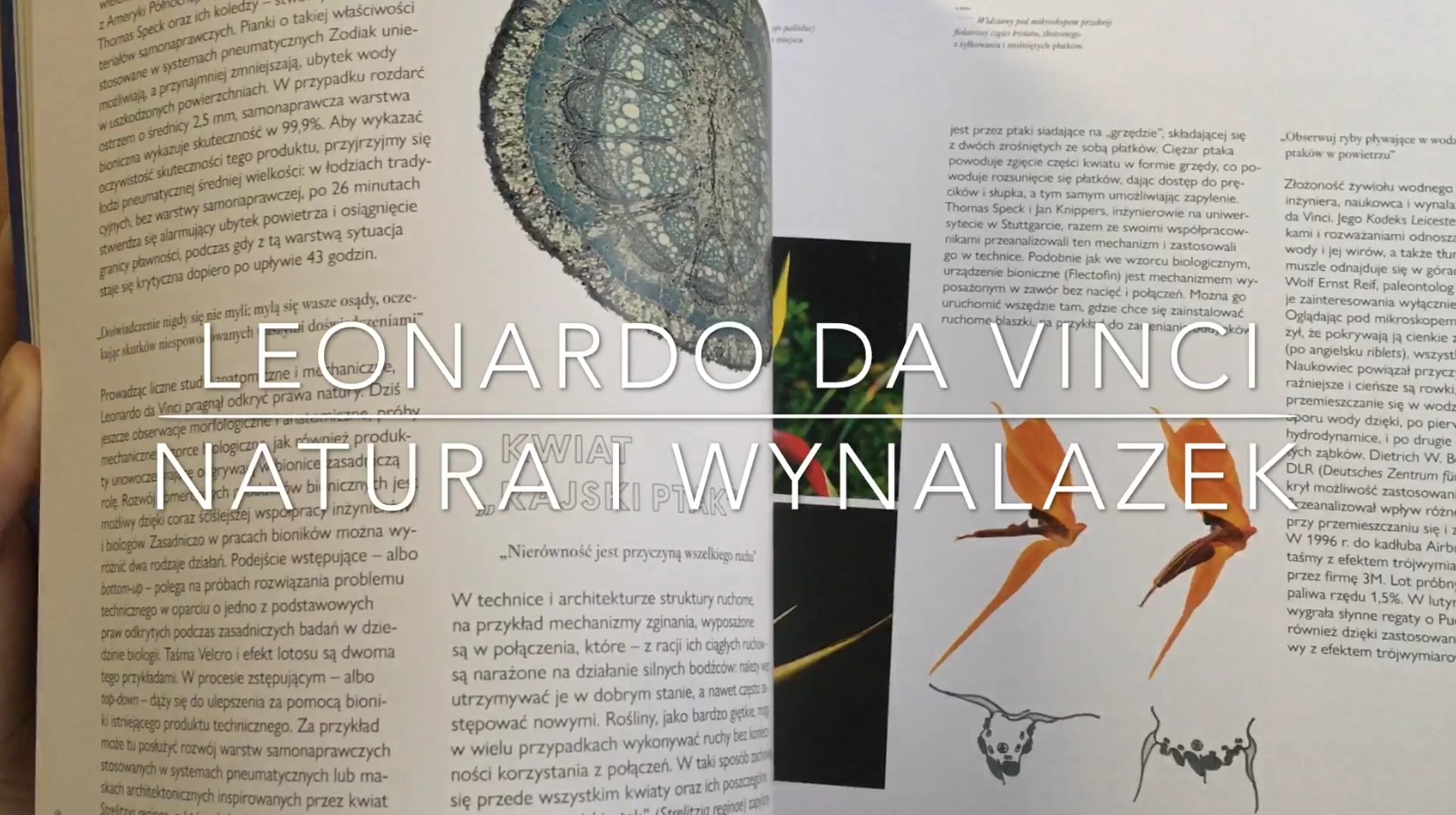 Strony z albumu Leonardo da Vinci - Natura i wynalazek