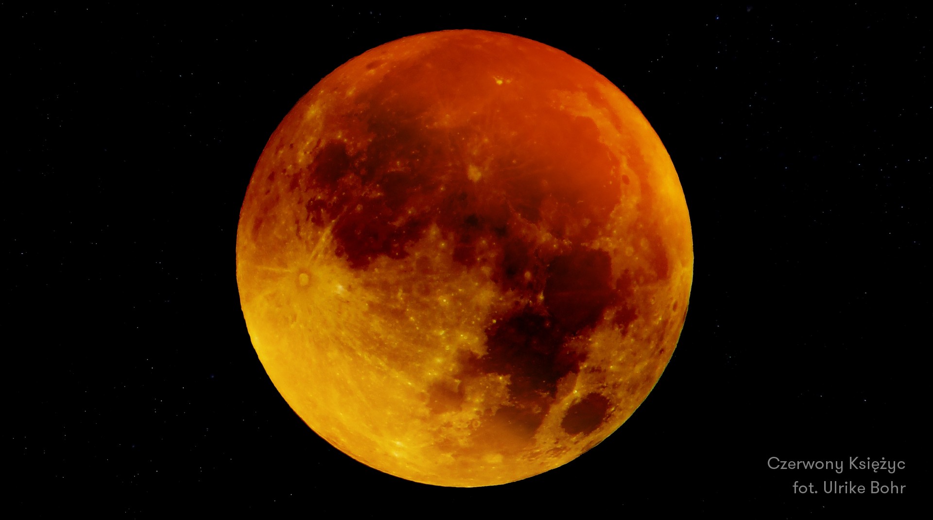 Czerwony Księżyc w obiektywie Ulrike Bohr